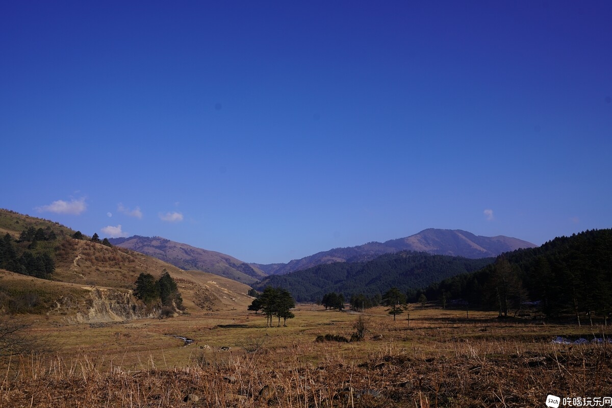 DSC07228.JPG