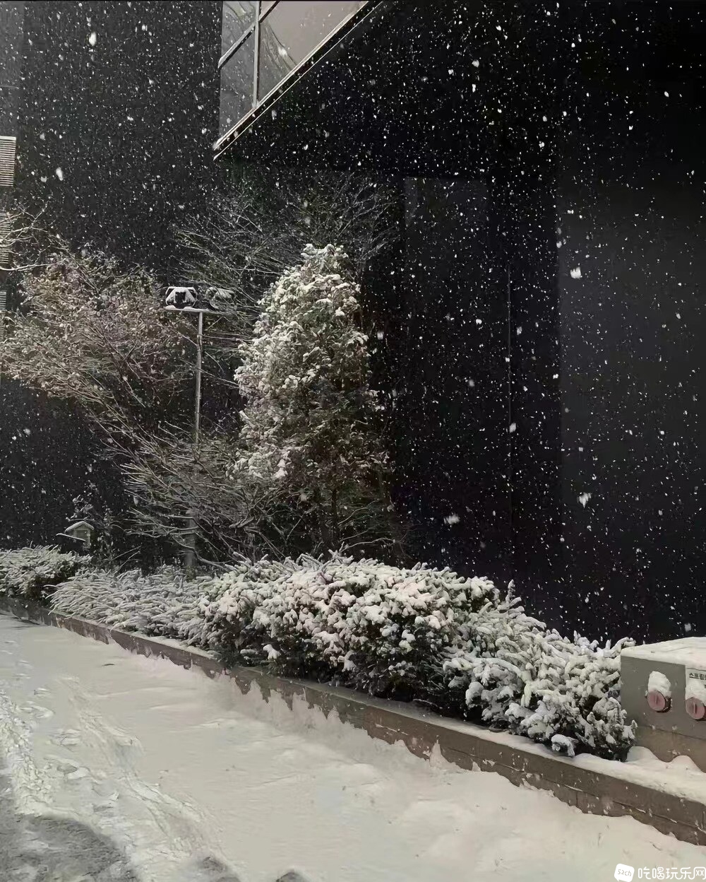 龙泉.jpg