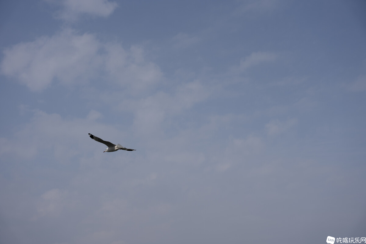 DSC03052.jpg