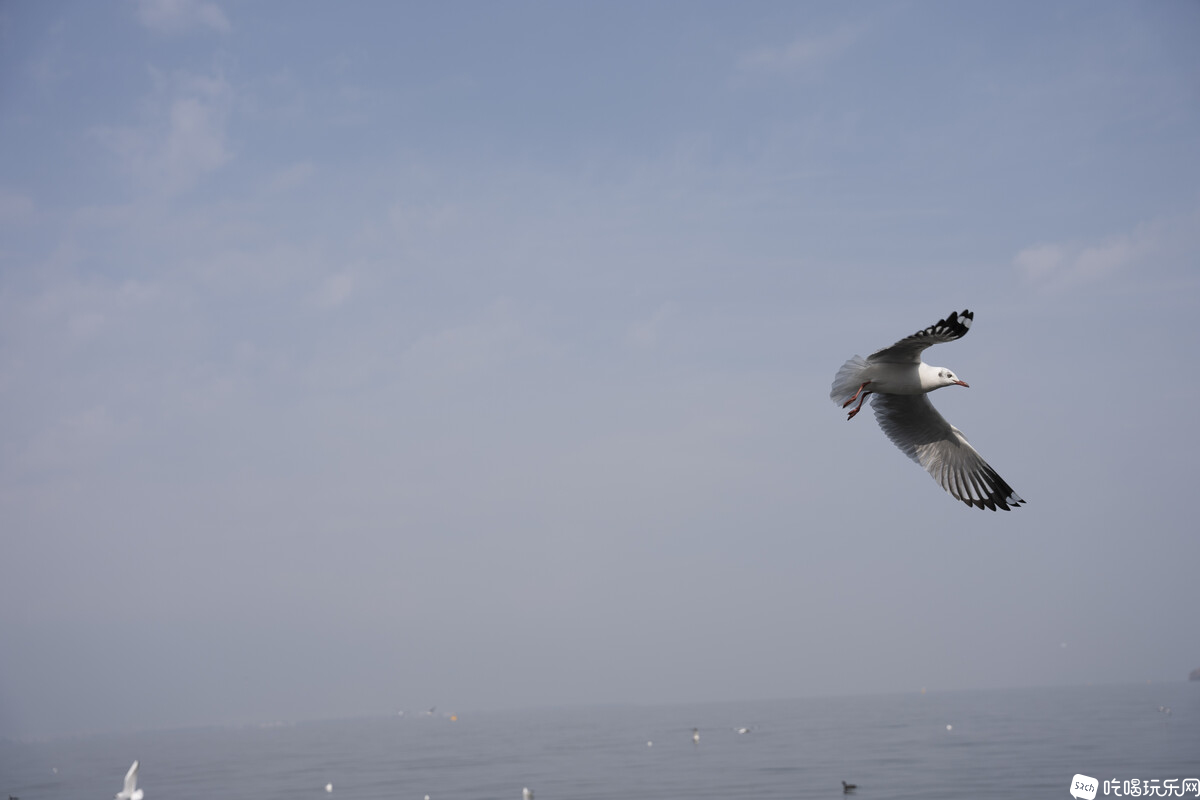 DSC03066.jpg