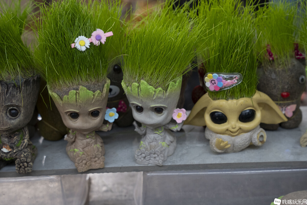 DSC03216.jpg