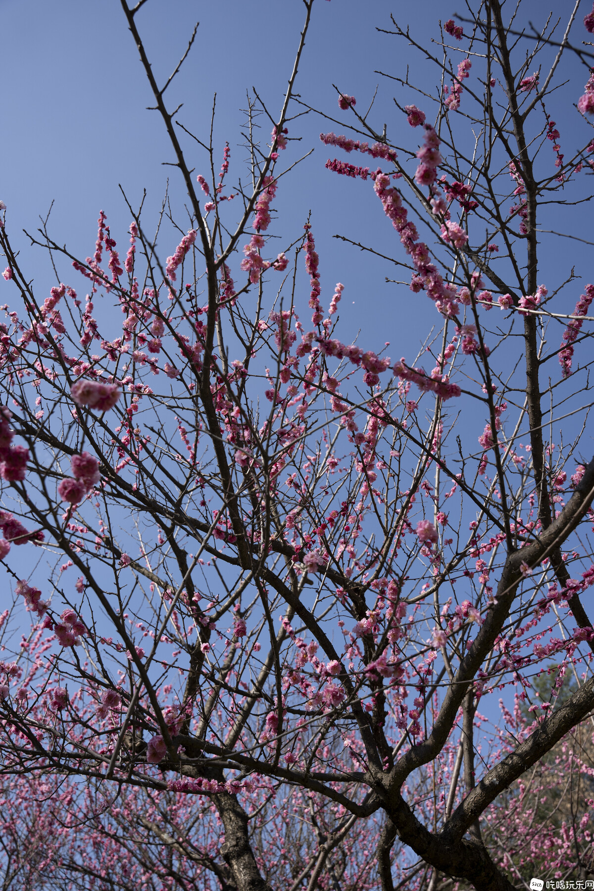 DSC03375.jpg