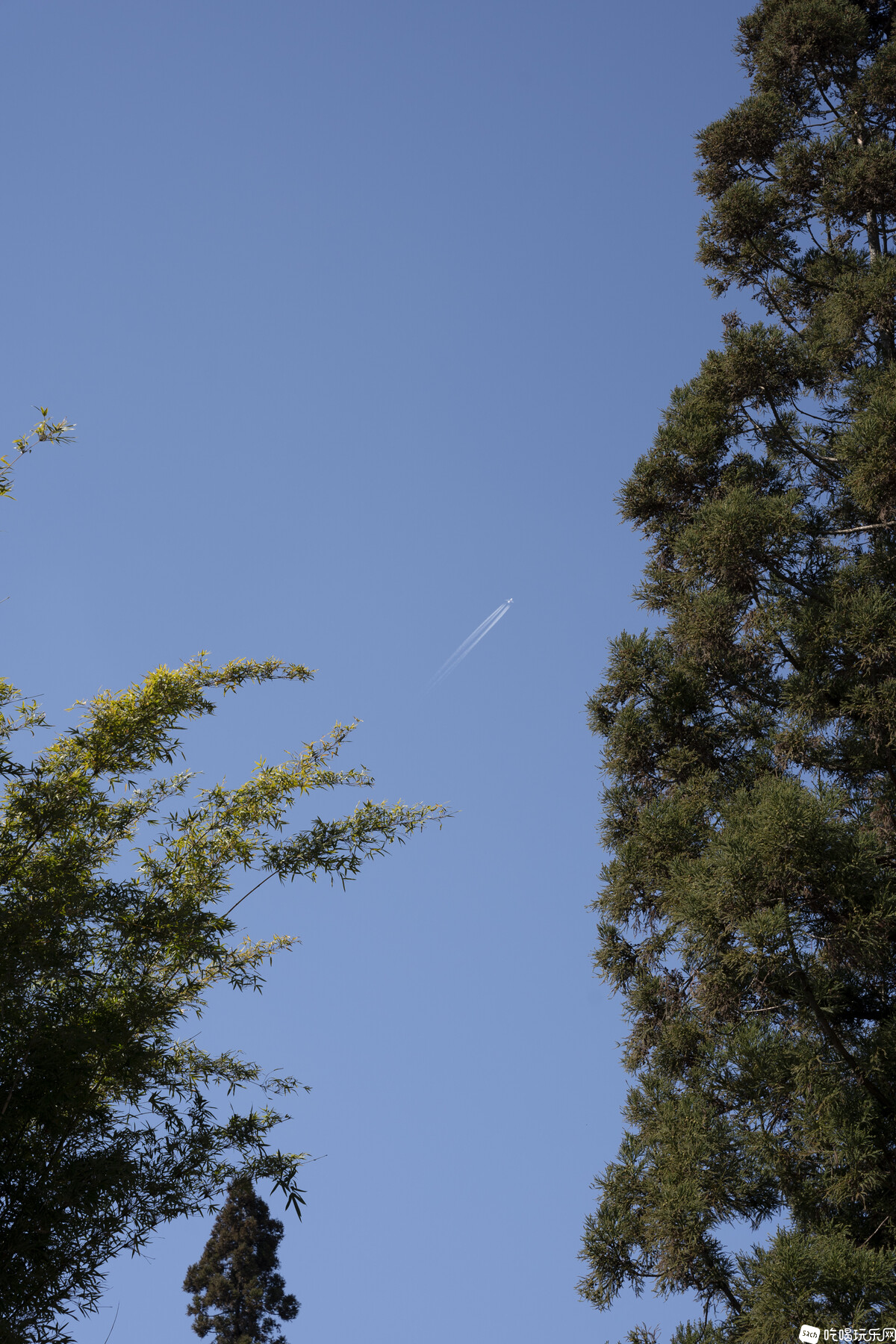 DSC03397.jpg