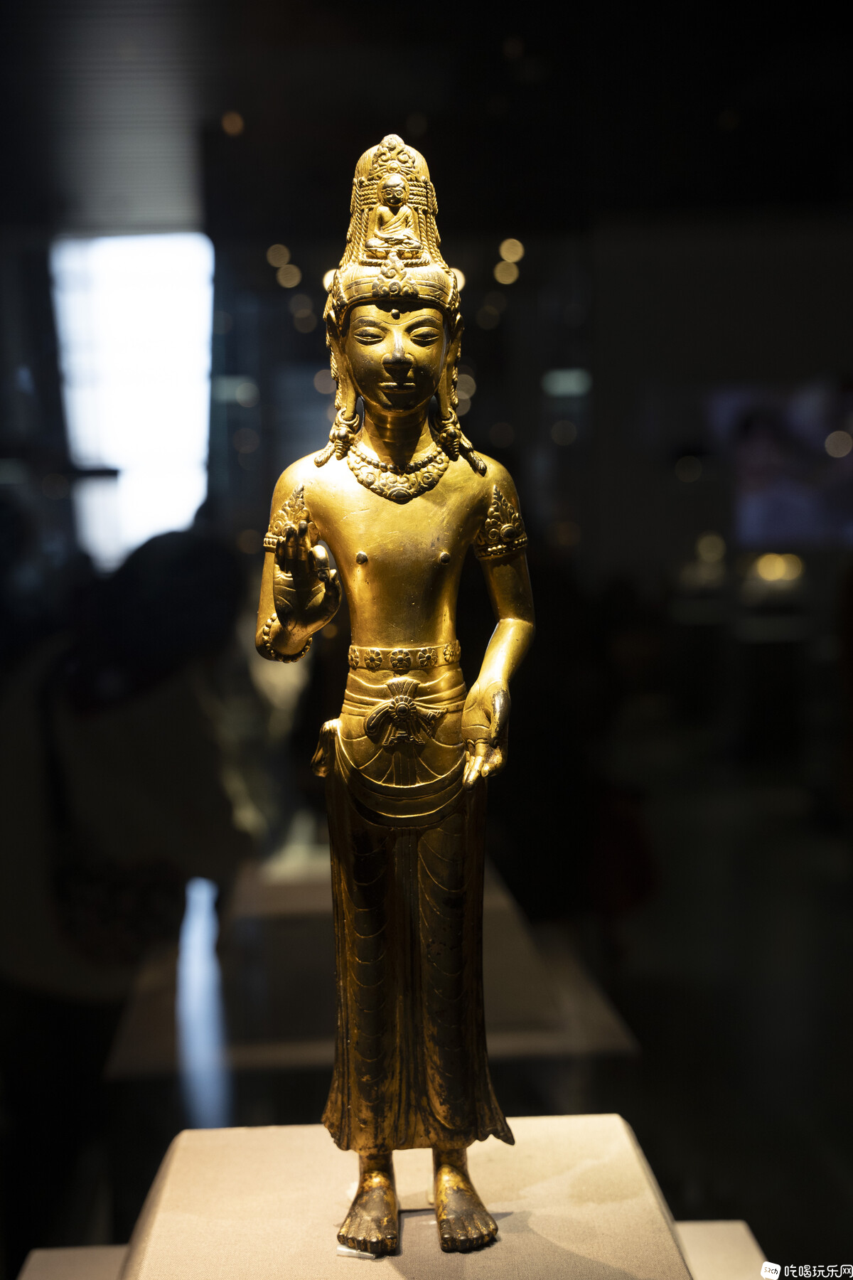 DSC03443.jpg