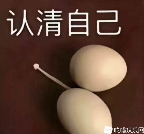 下载 (2).jpeg