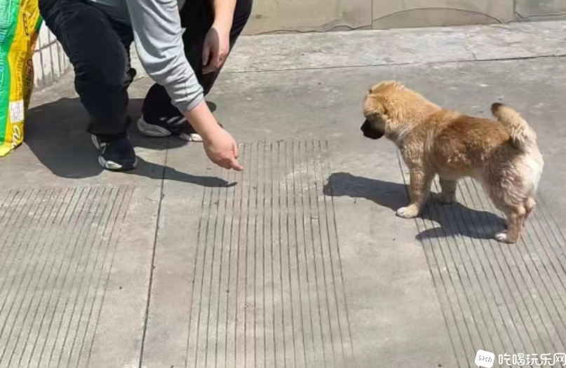 微信图片_20240321143545.png