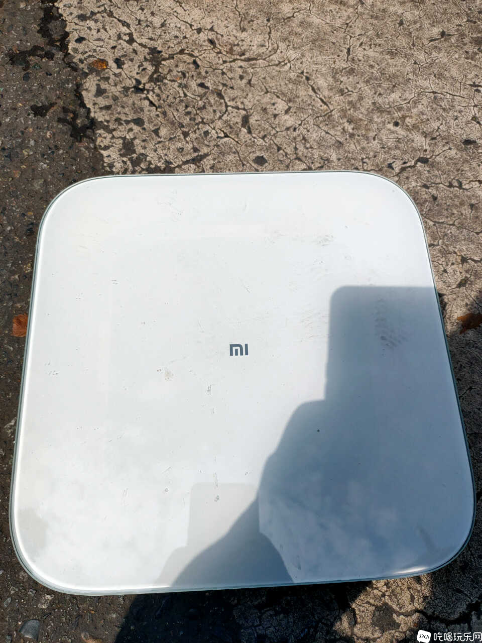IMG20240330122046.jpg