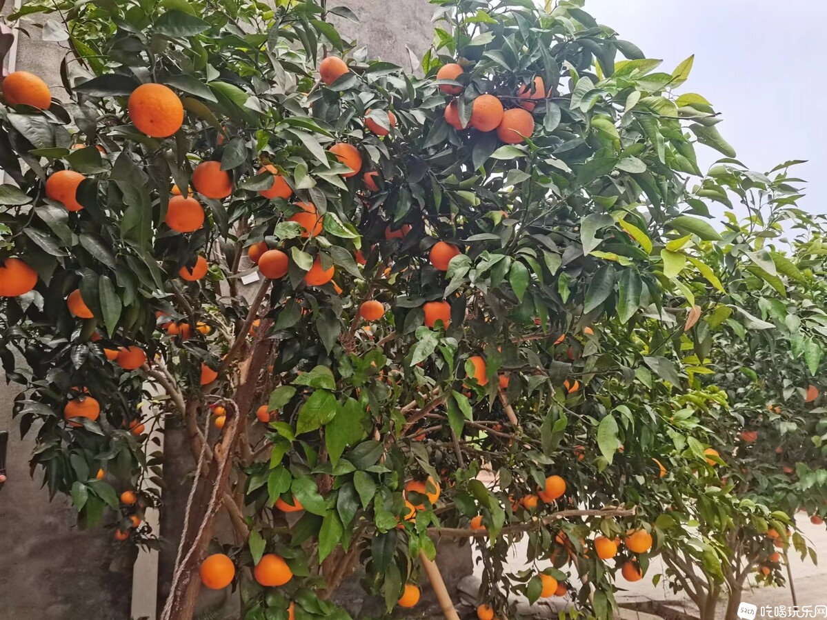 微信图片_20240404092605.jpg