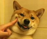 炯.png