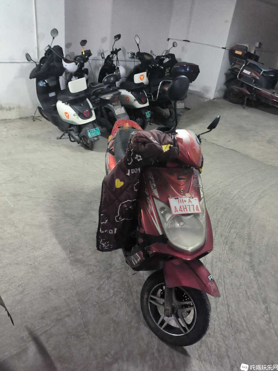 IMG_20240518_131447.jpg