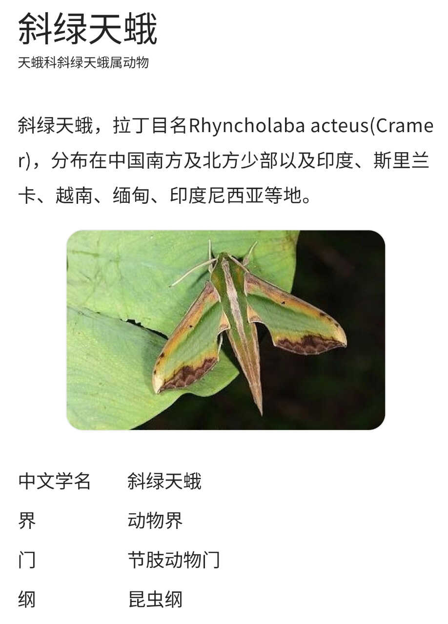 Screenshot_2024-05-26-19-29-04-879_com.tencent.mm-edit.jpg