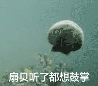 扇贝听了都想鼓掌.gif