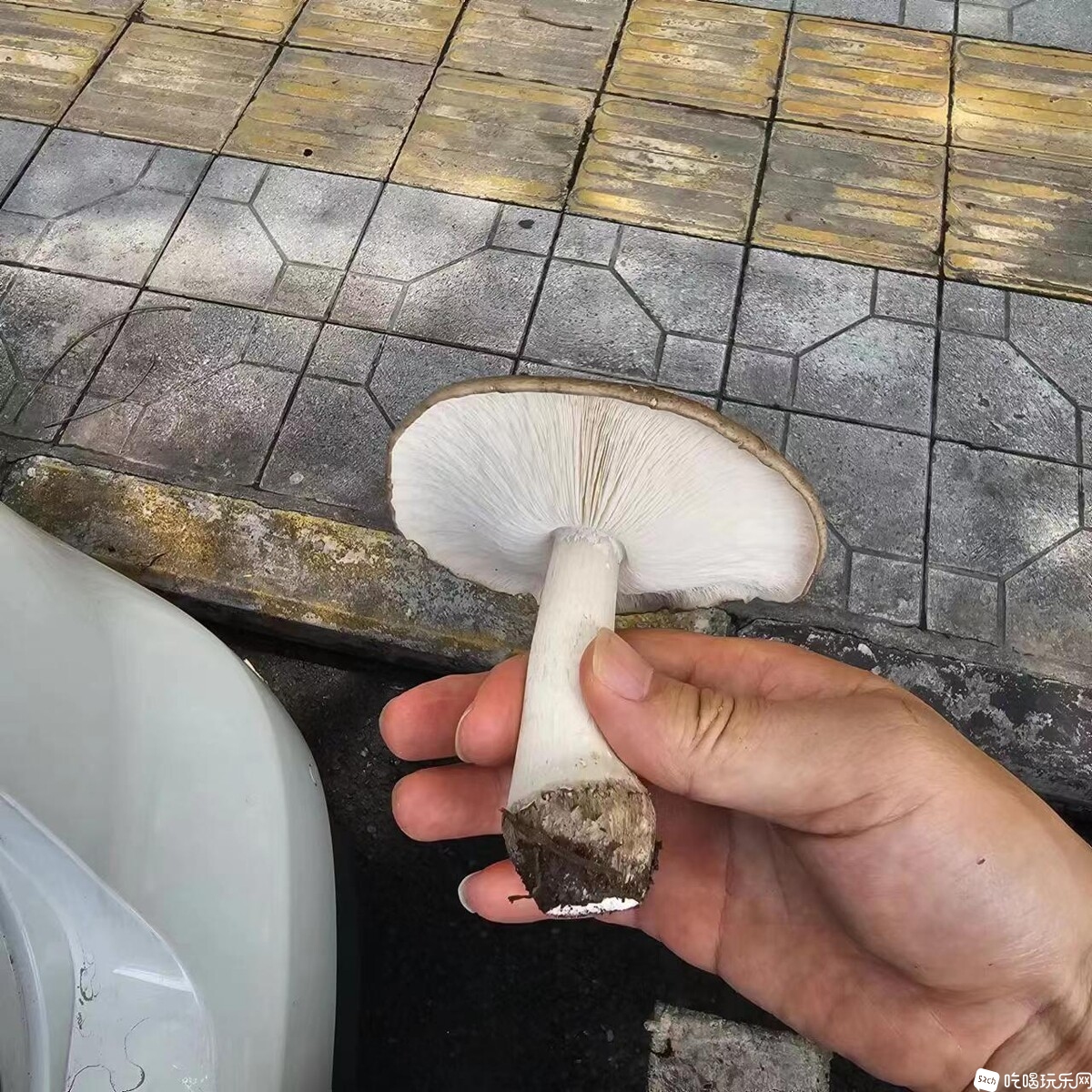 微信图片_20240719140706.jpg