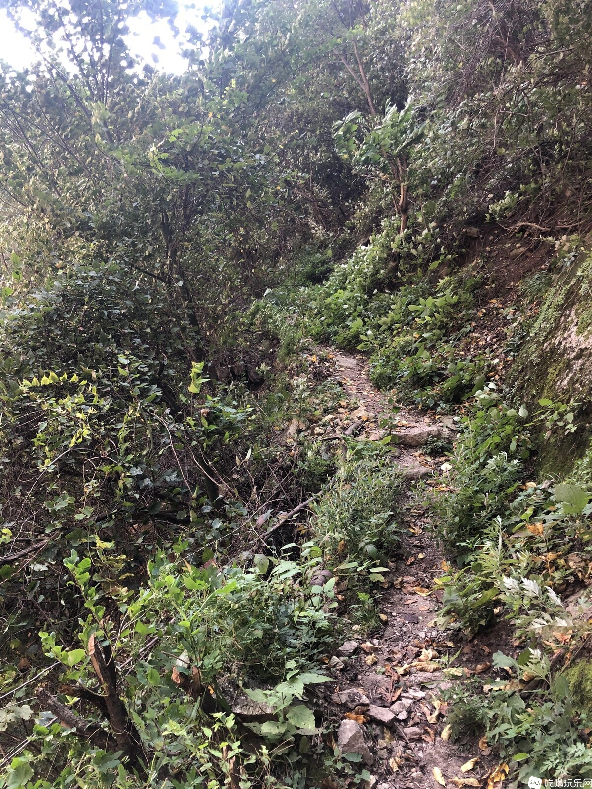 路太烂 (2).JPG