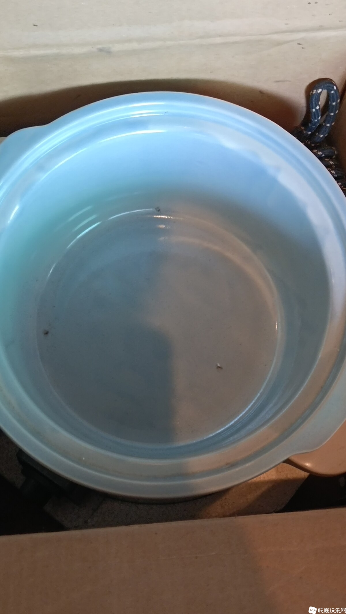 电子瓦甄