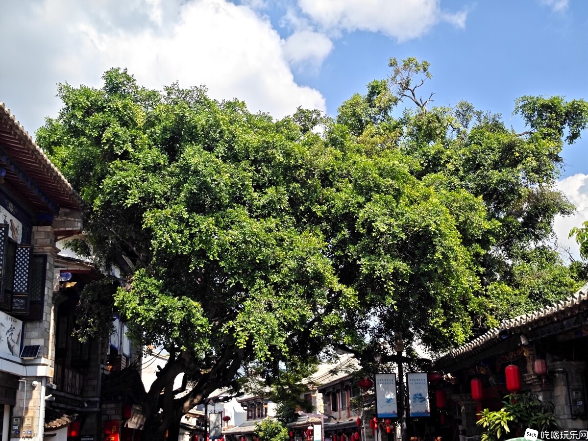 IMG_20240905_153026_副本.jpg