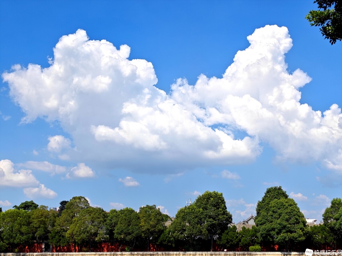 IMG_20240905_154227_副本.jpg