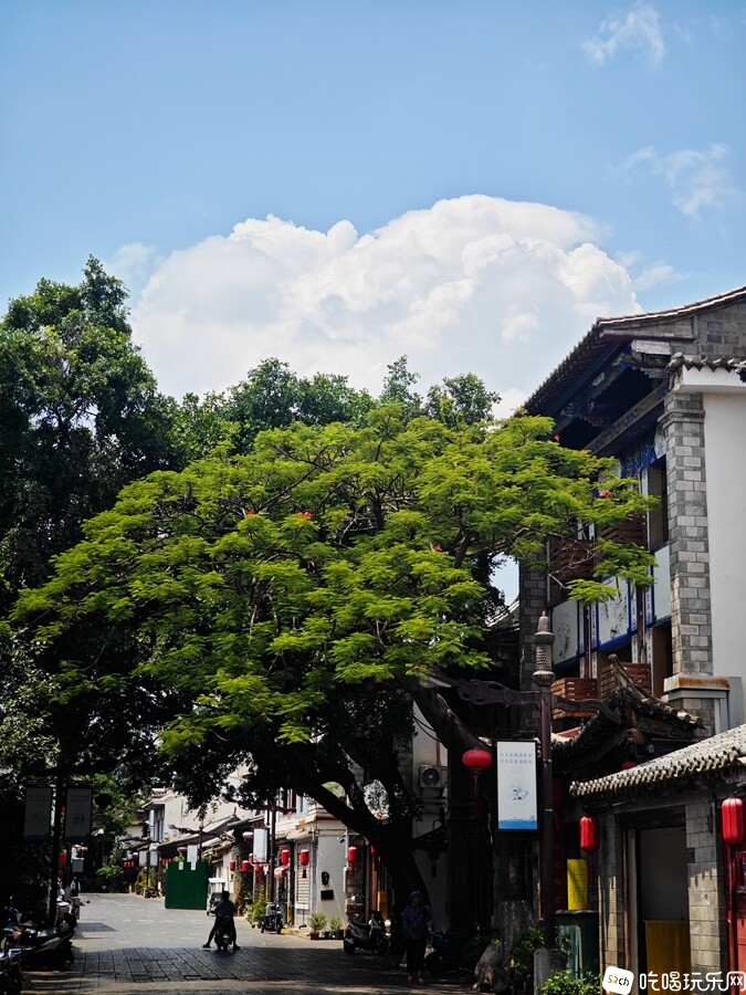 IMG_20240906_125452_副本.jpg