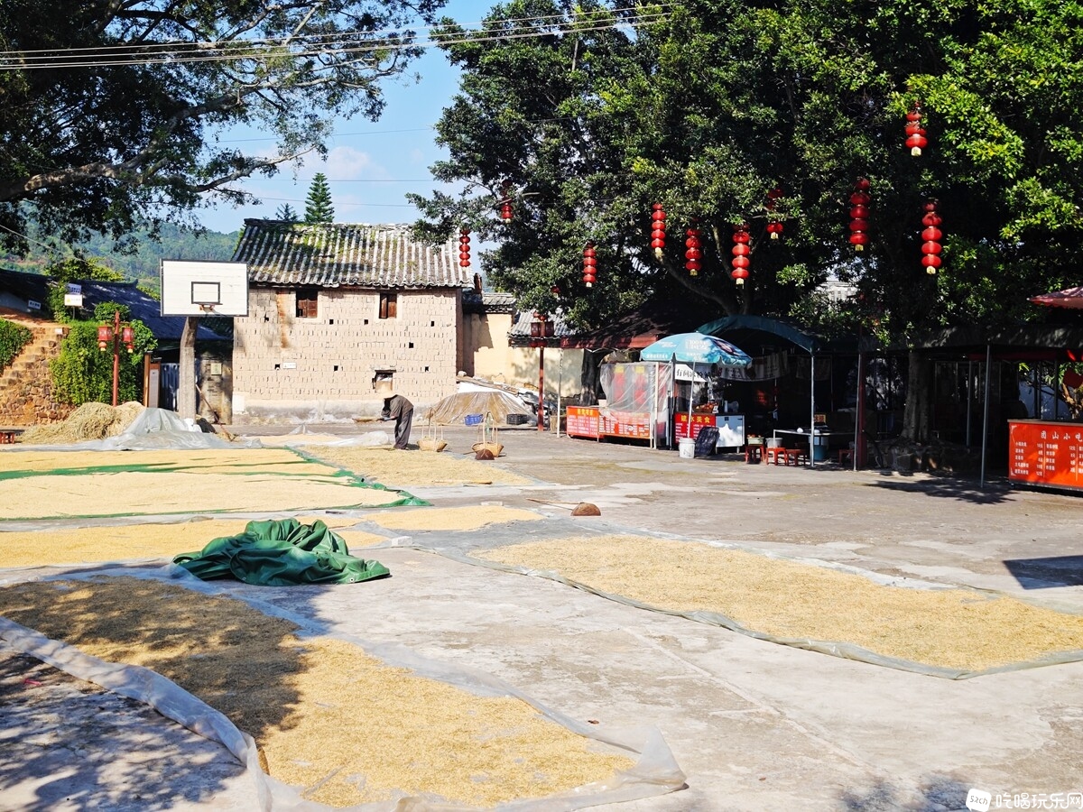 IMG_20240906_164829_副本.jpg