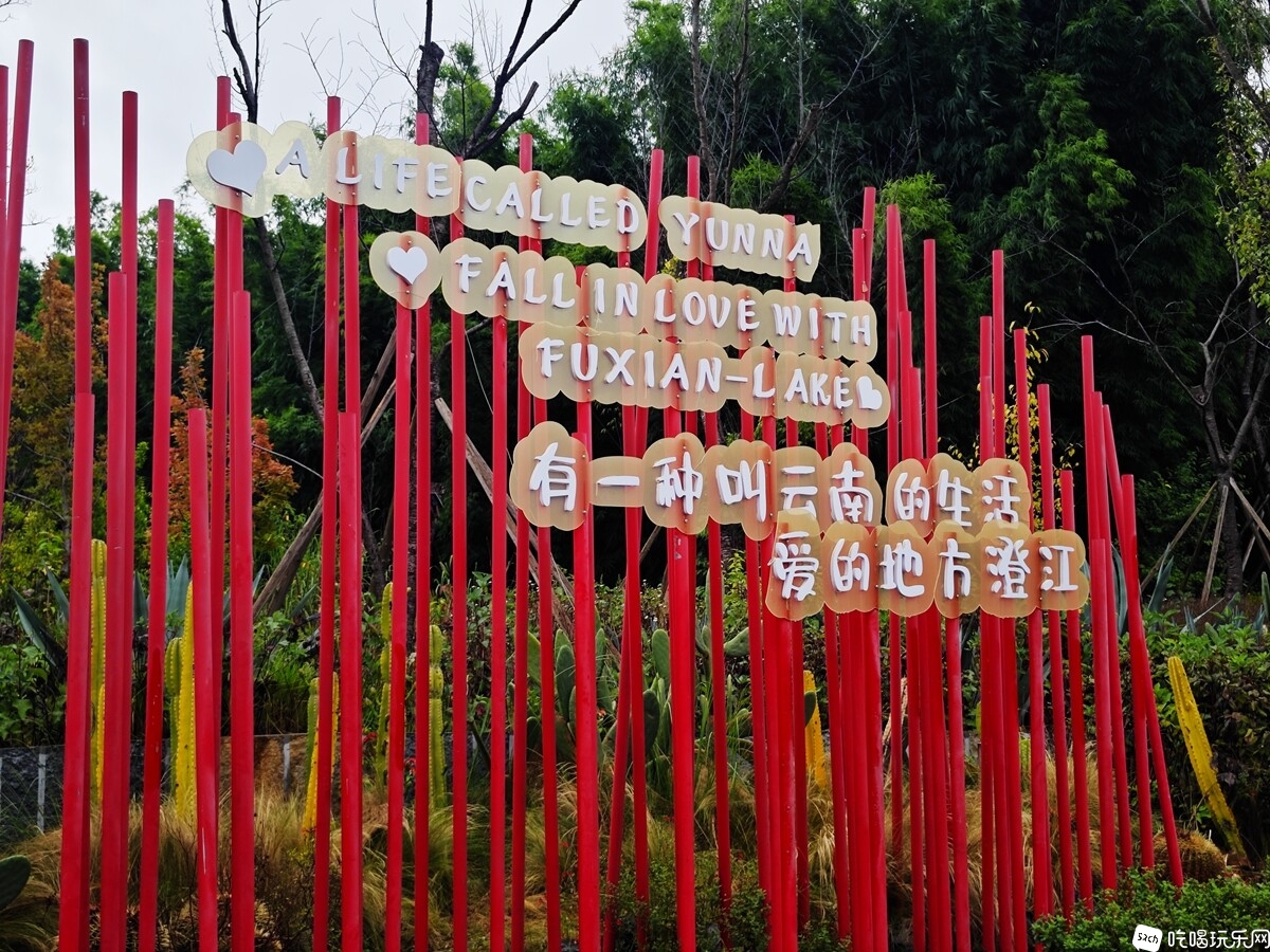 IMG_20240909_103454_副本.jpg