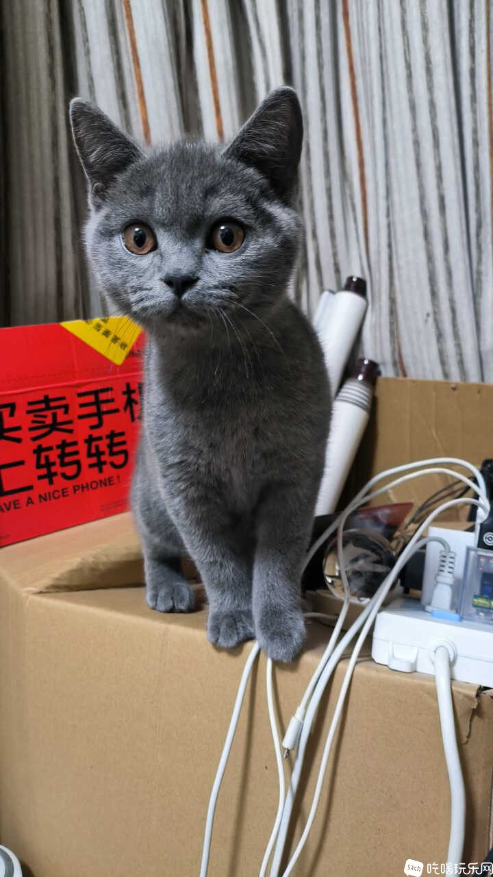 MVIMG_20241124_205047.jpg