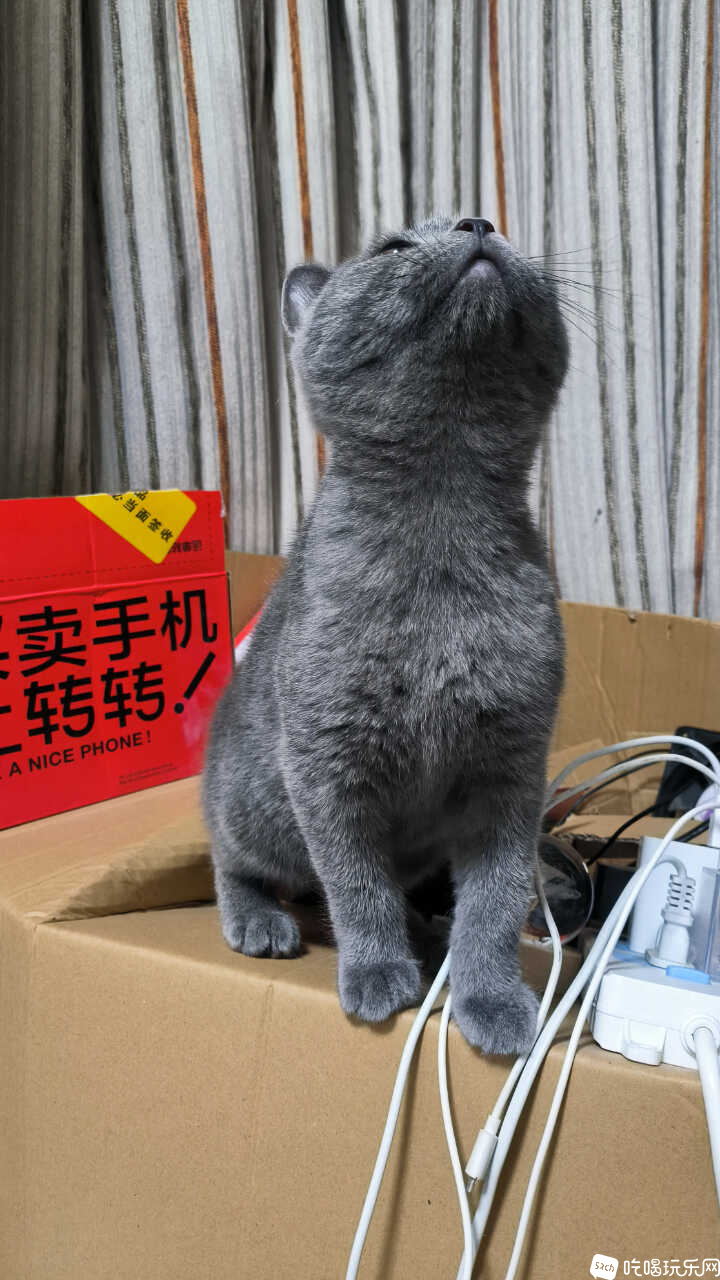 MVIMG_20241124_205049.jpg