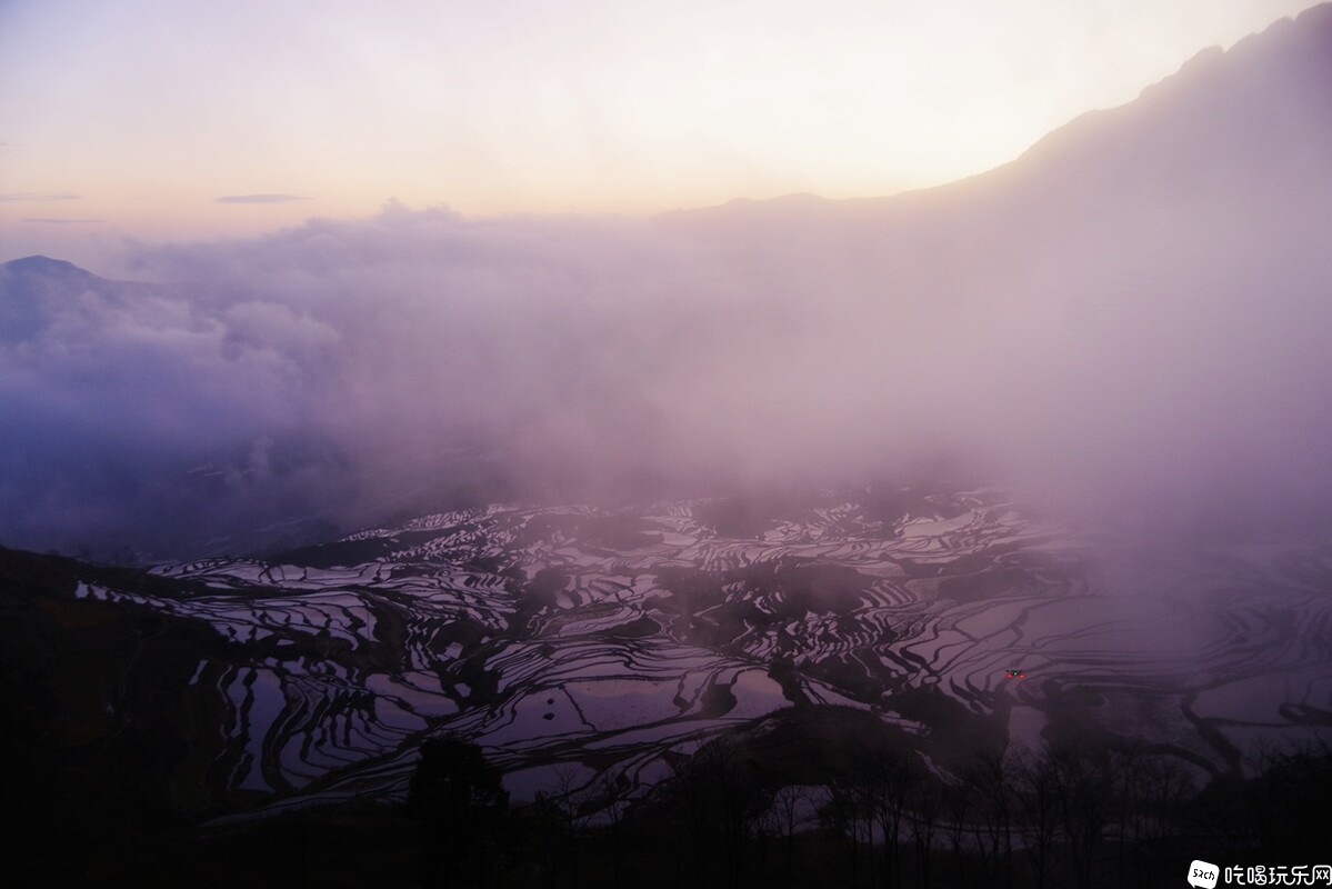 IMGP7674_副本.jpg