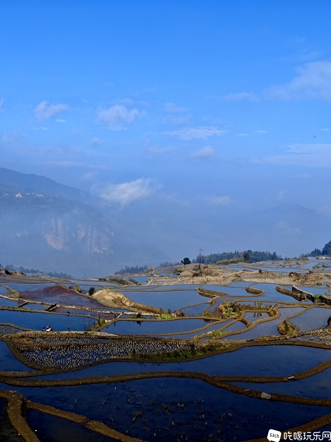 IMG_20241226_103612_副本.jpg