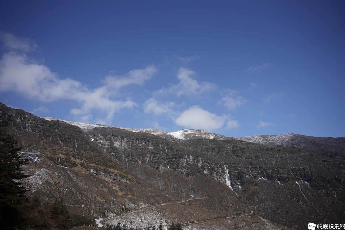 _DSC6168.JPG