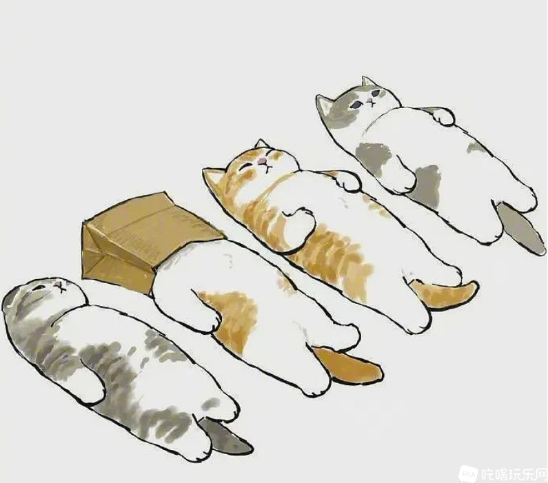 猫 躺.png