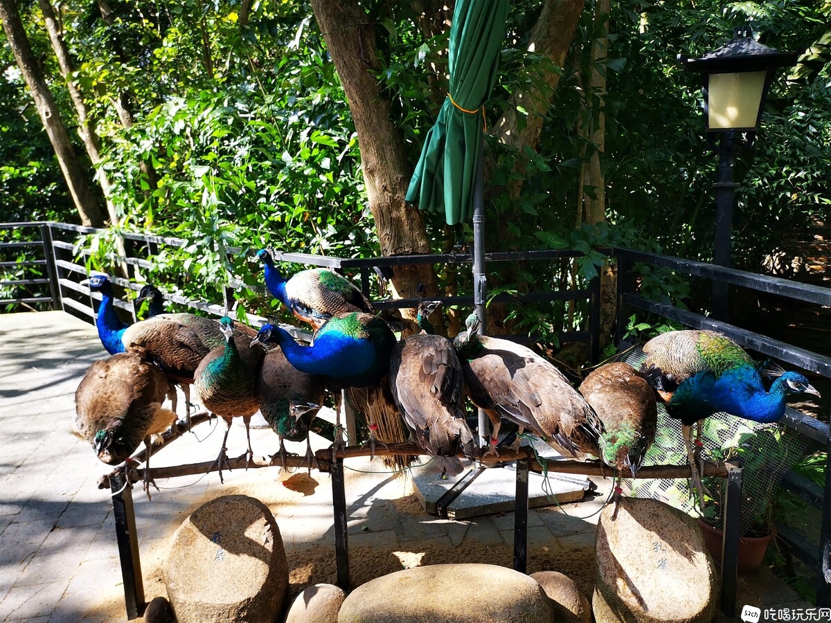 50.jpg