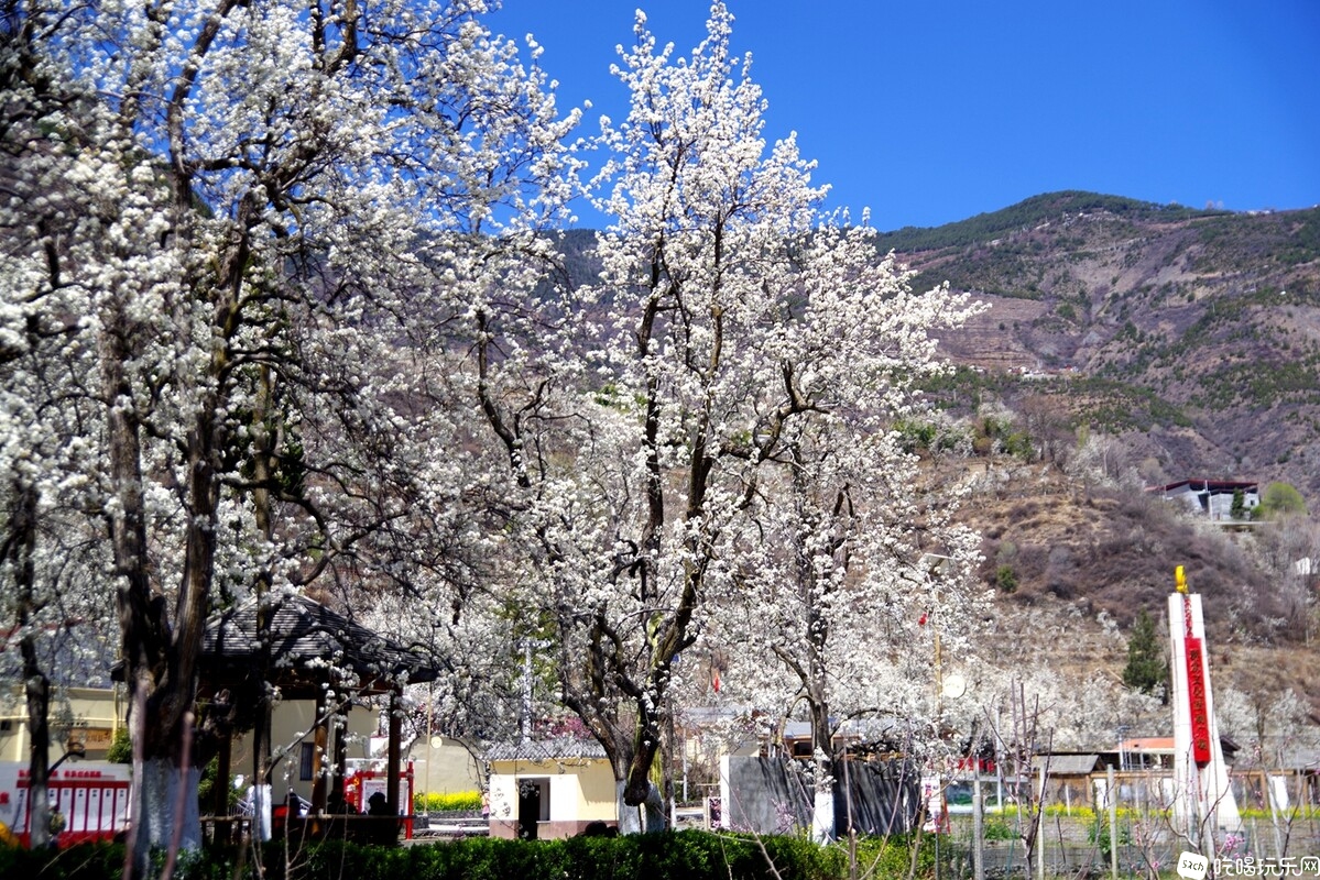 IMGP0507_副本.jpg