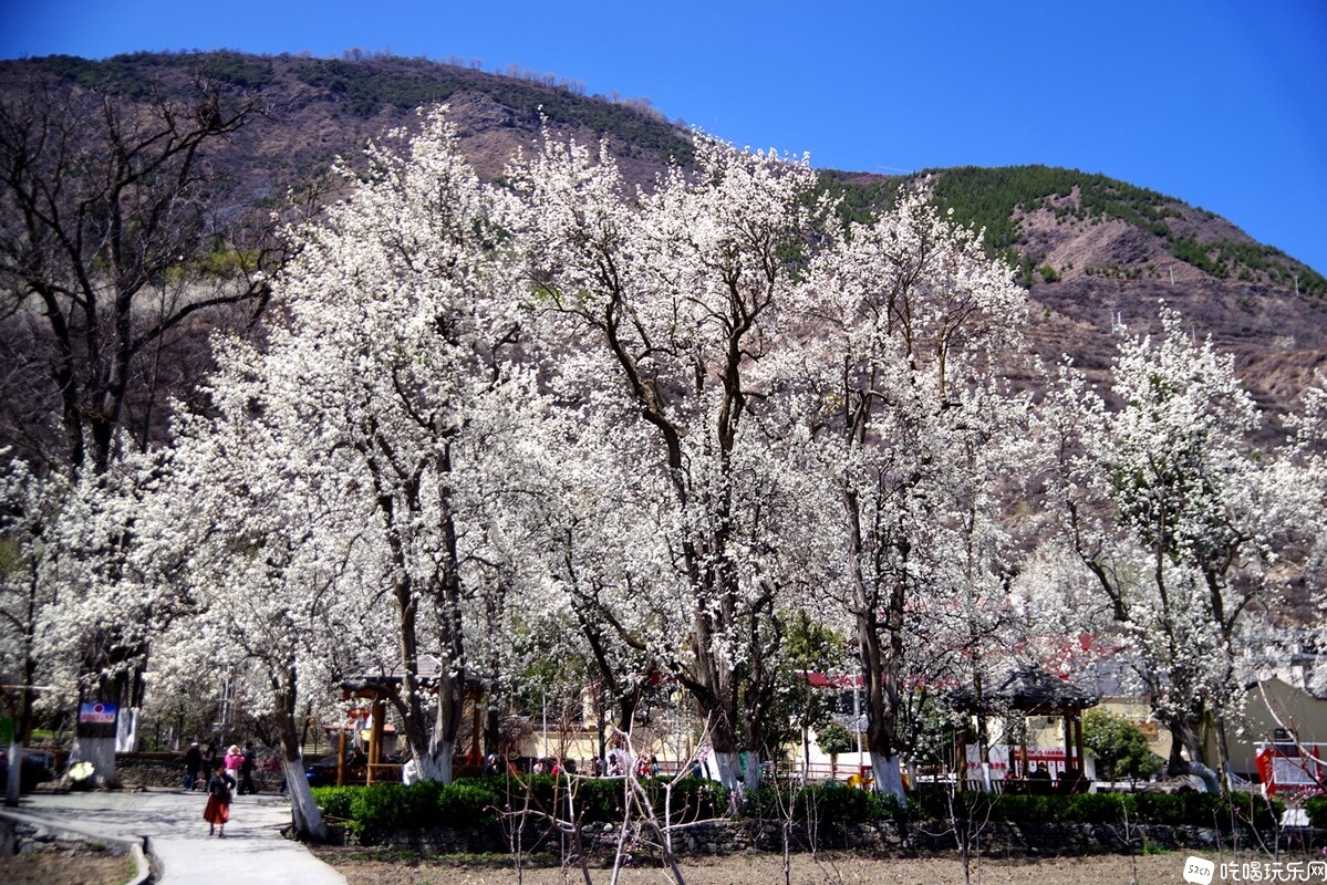 IMGP0509_副本.jpg