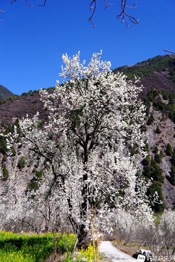 IMGP0582_副本.jpg