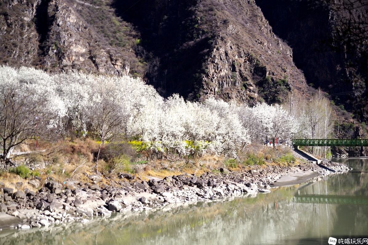 IMGP0778_副本.jpg