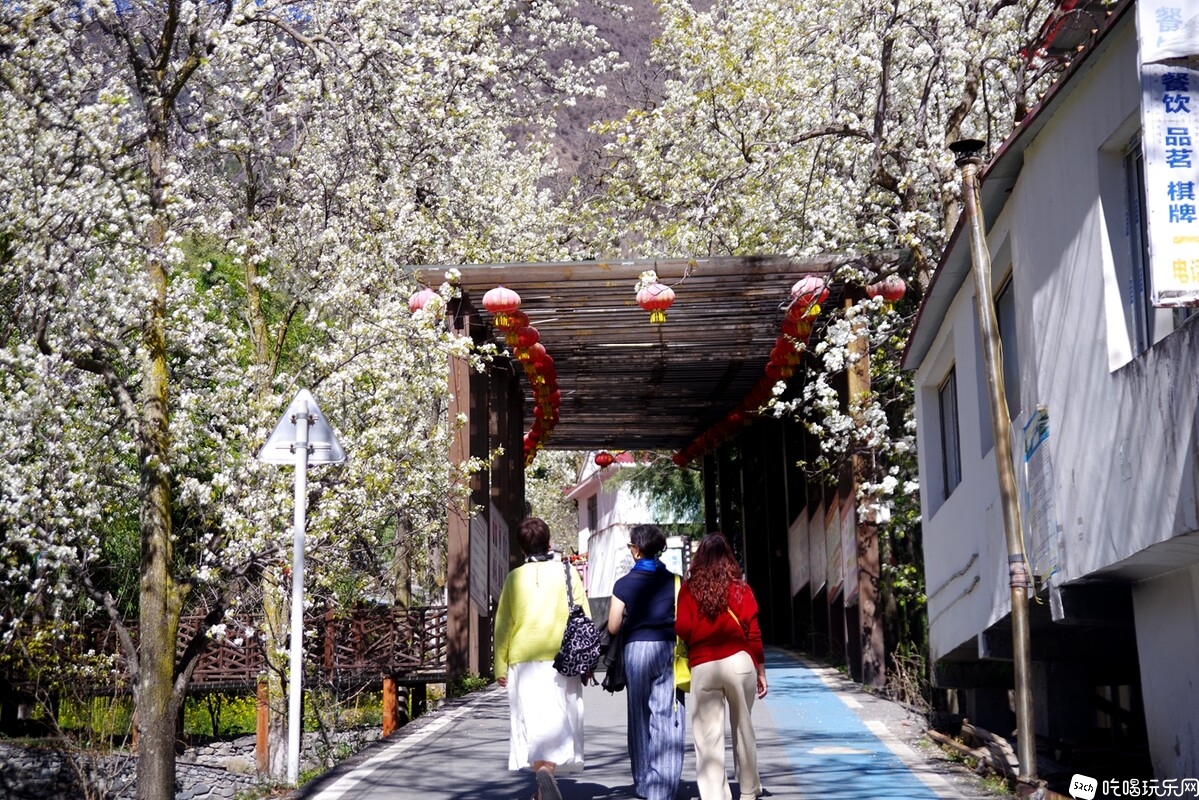 IMGP0716_副本.jpg