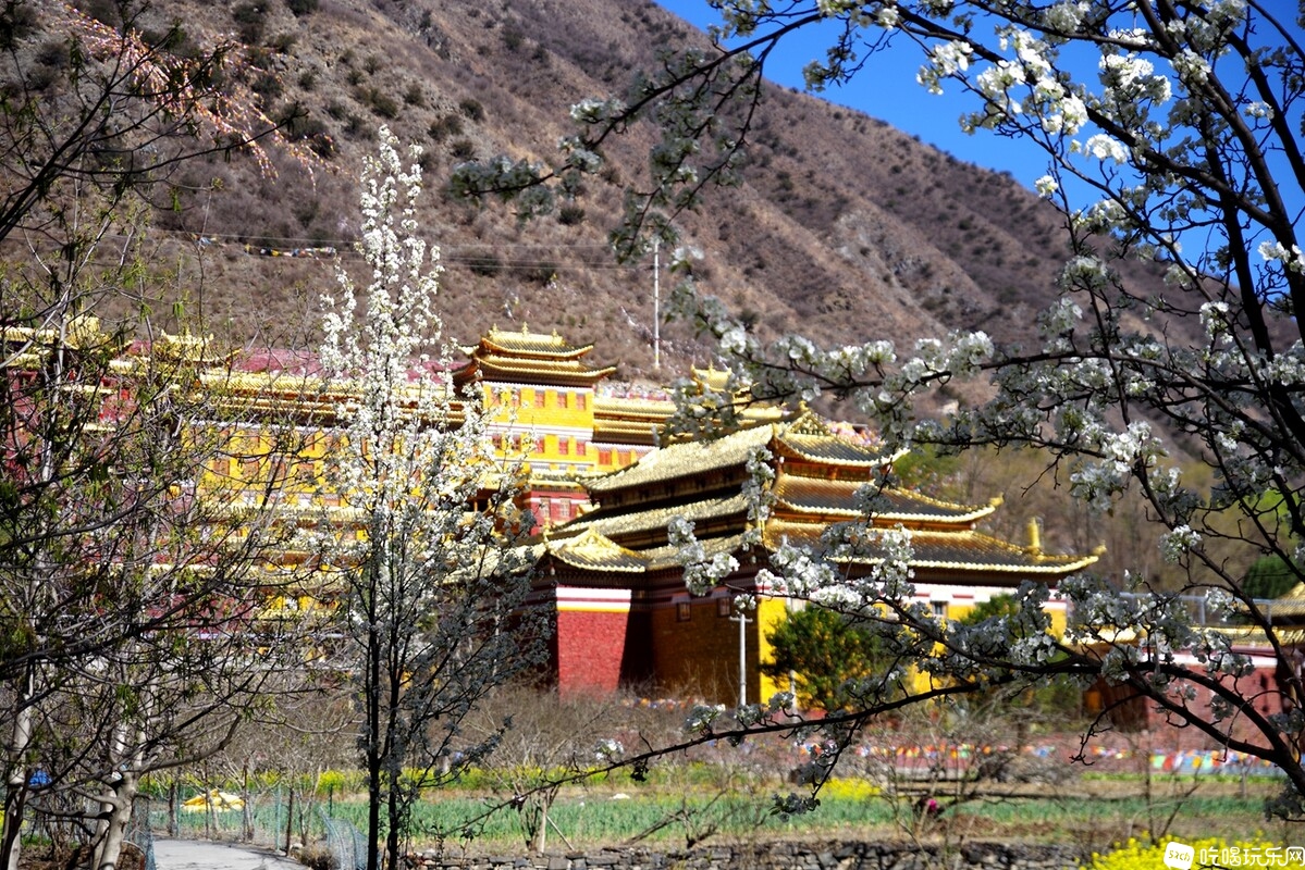 IMGP0761_副本.jpg