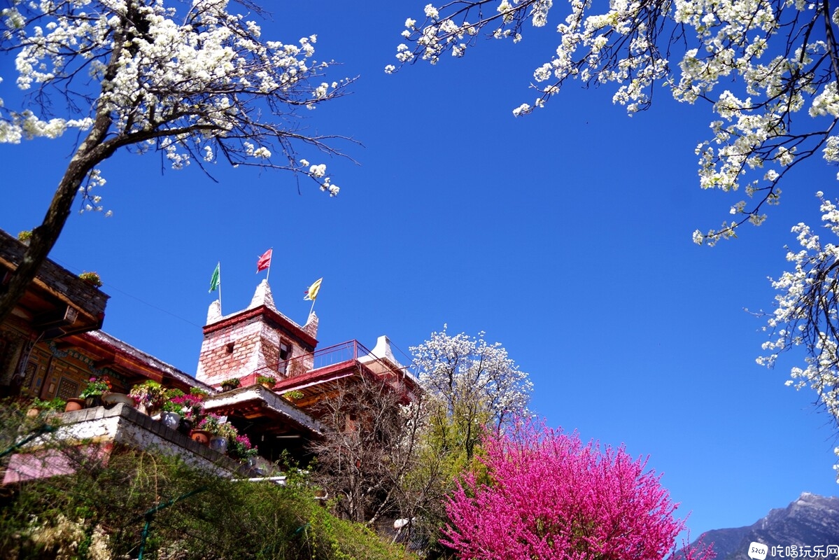 IMGP1116_副本.jpg