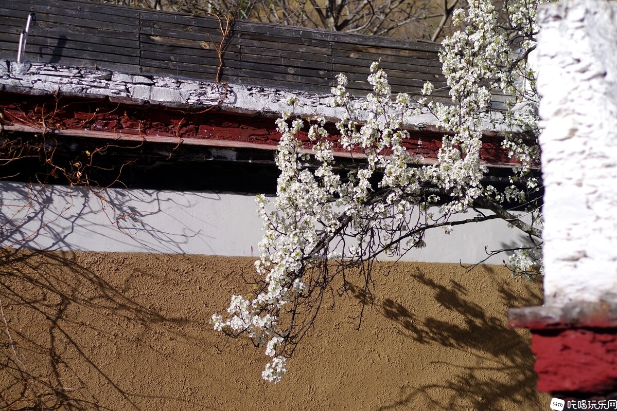 IMGP1459_副本.jpg