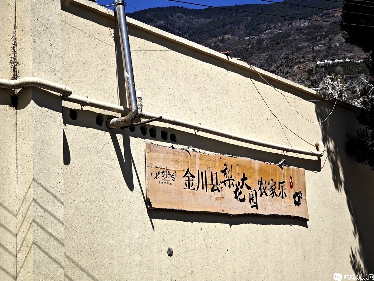 IMG_20250325_120219_副本.jpg