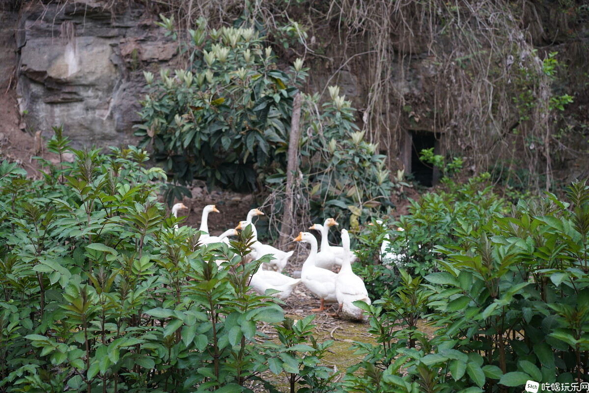 DSC04520.JPG