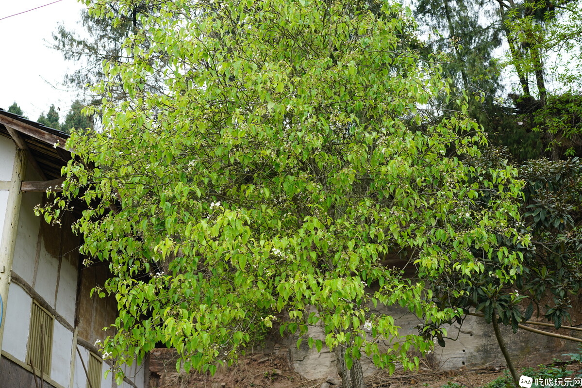 DSC04548.JPG