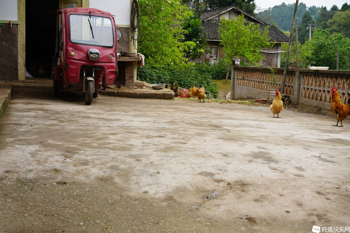 DSC04557.JPG