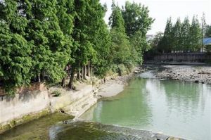 世界那么大何必危险野泳