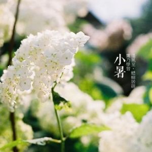 今日小暑来份红烧鳝段吧