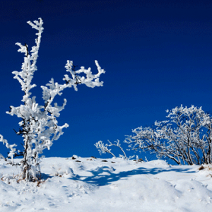 一天打来回成都周边免费耍雪
