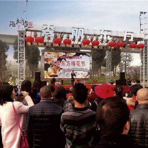 中国·成都第十二届梅花节 秀丽东方梅花节盛大开幕